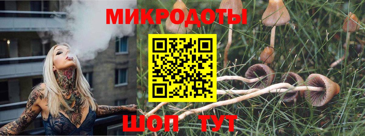 Галлюциногенные грибы Psilocybine cubensis  Вход с VPN  Псилоцибиновые грибы Magic Shrooms  наркошоп  Коломна 