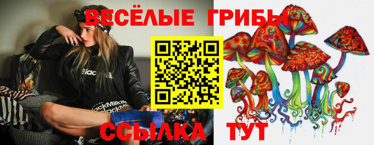 Галлюциногенные грибы мицелий Коломна